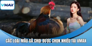 các loại màu gà chọi