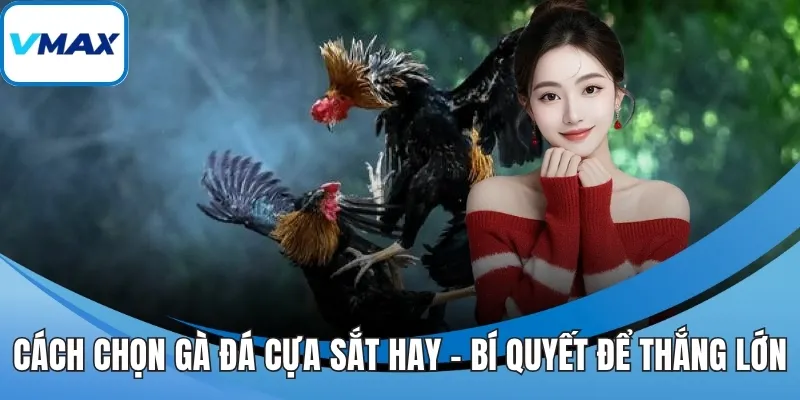 cách chọn gà đá cựa sắt hay