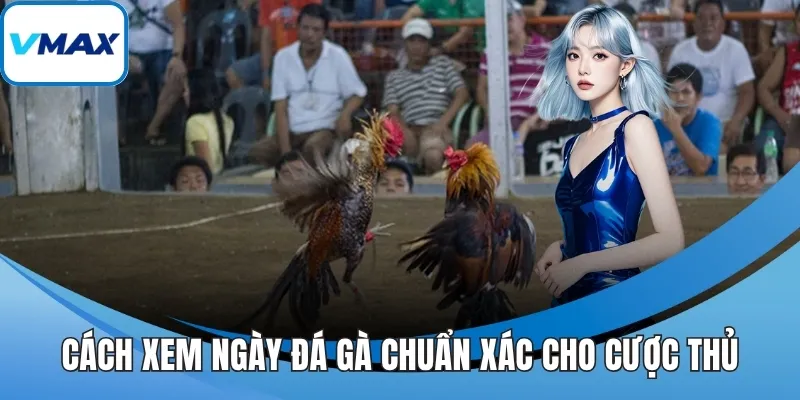 cách xem ngày đá gà