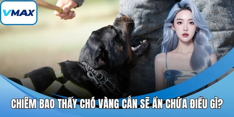 Chiêm bao thấy chó vàng cắn sẽ ẩn chứa điều gì?