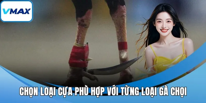 Chọn loại cựa phù hợp với từng loại gà chọi