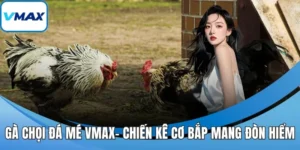 gà chọi đá mé