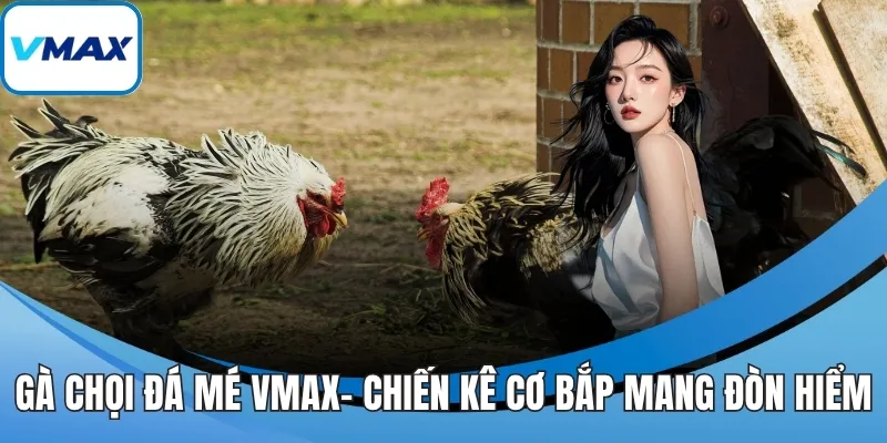 gà chọi đá mé