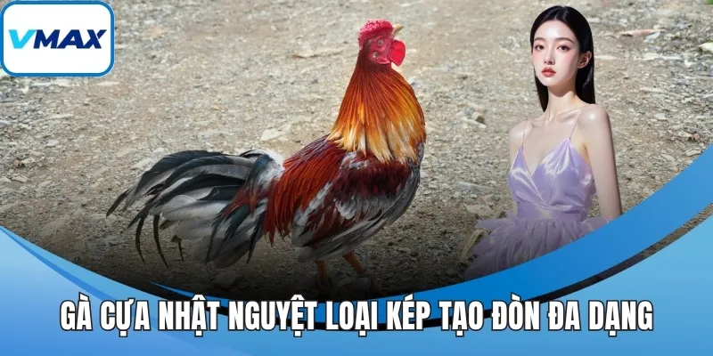 Gà cựa nhật nguyệt loại kép tạo đòn đa dạng