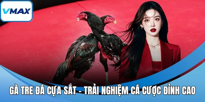 gà tre đá cựa sắt