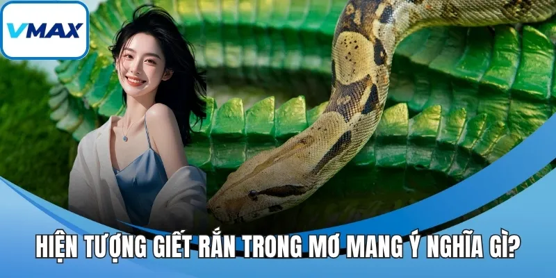 Hiện tượng giết rắn trong mơ mang ý nghĩa gì?
