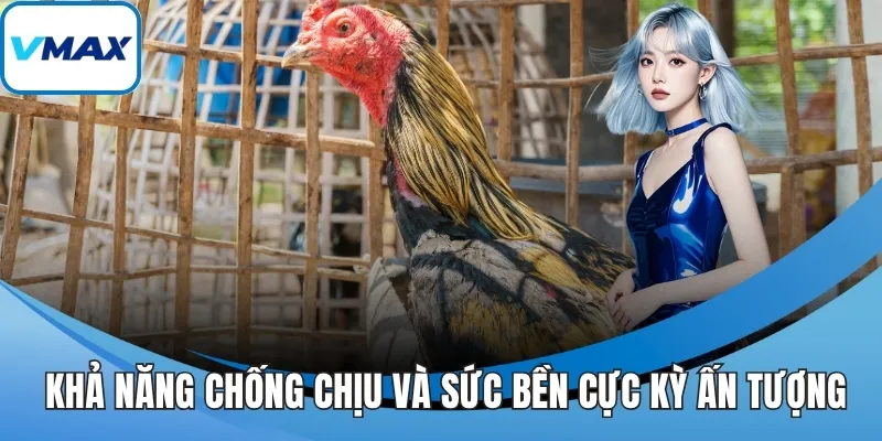 Khả năng chống chịu và sức bền cực kỳ ấn tượng