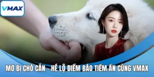 Mơ bị chó cắn