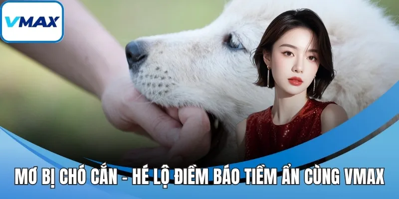Mơ bị chó cắn