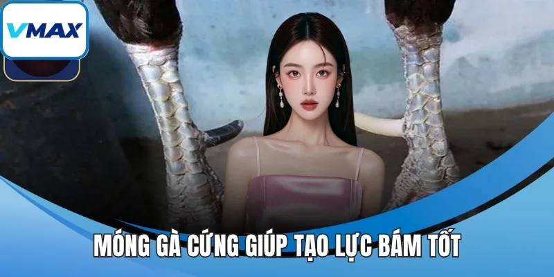 Móng gà cứng giúp tạo lực bám tốt