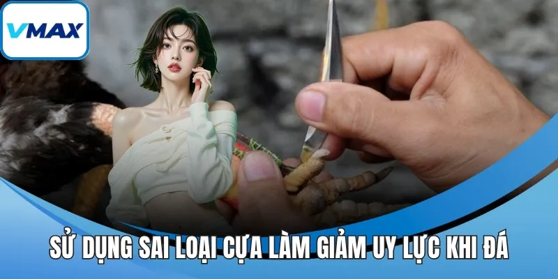 Sử dụng sai loại cựa làm giảm uy lực khi đá