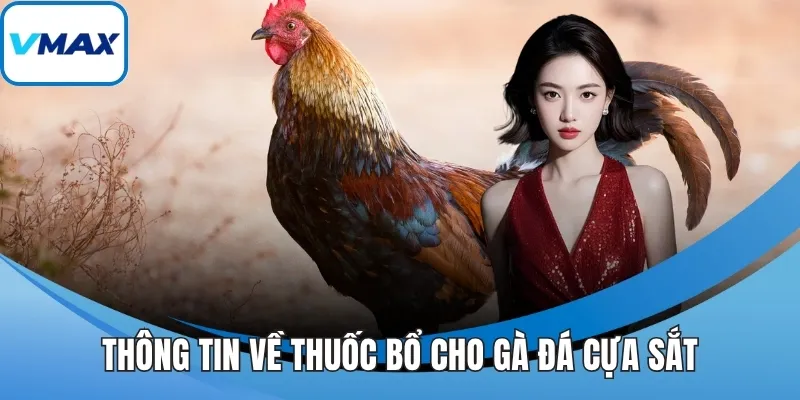 Thông tin về thuốc bổ cho gà đá cựa sắt