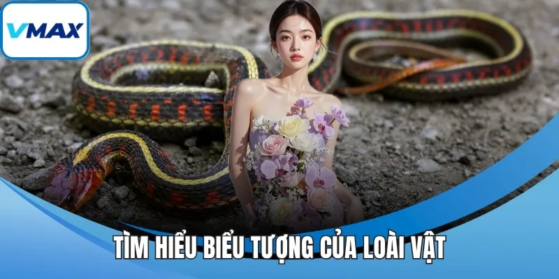 Tìm hiểu biểu tượng của loài vật