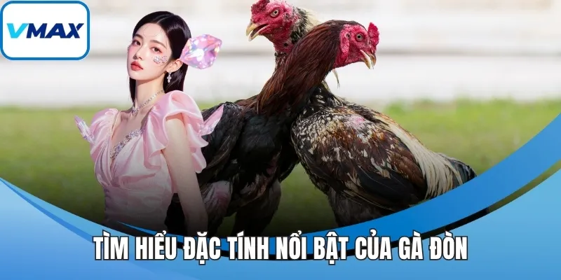 Tìm hiểu đặc tính nổi bật của gà đòn