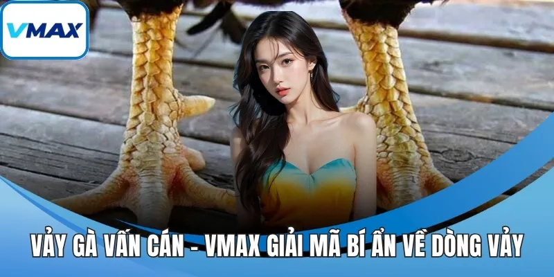 vảy gà vấn cán