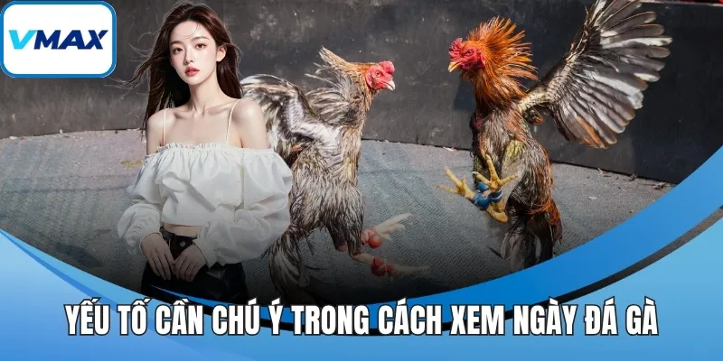 Yếu tố cần chú ý trong cách xem ngày đá gà
