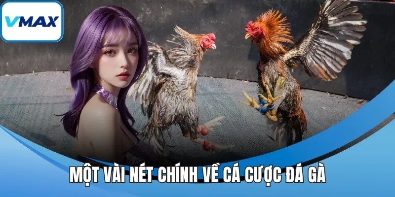 Một vài nét chính về cá cược đá gà